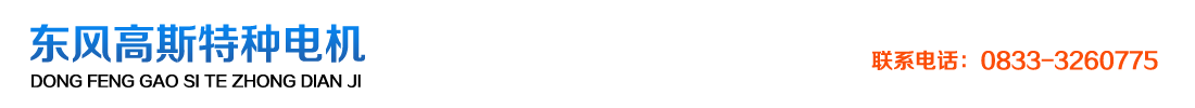 樂山東風高斯特種電機技術有限公司